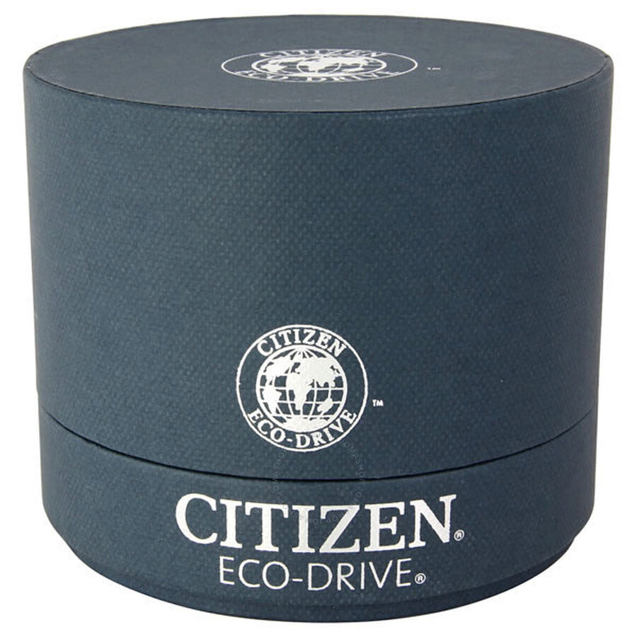 Citizen Eco Drive Chronograph Perpetual Calendar Black Dial Men's Watch AT4000-02E