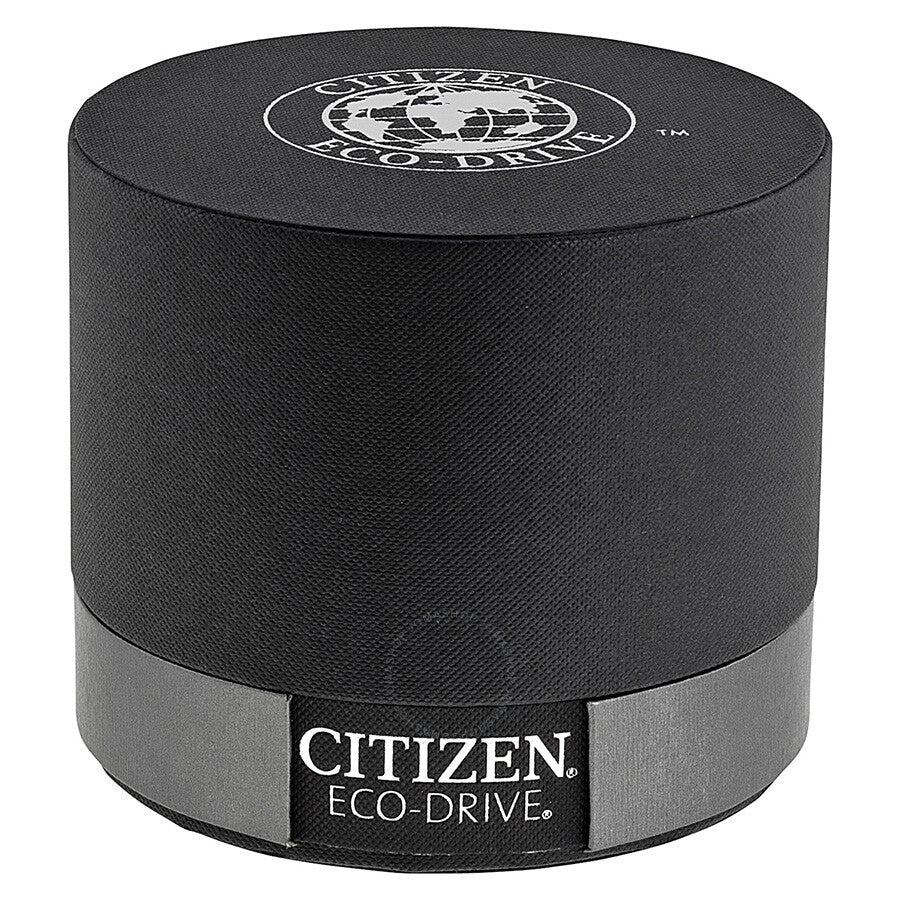Citizen Eco-Drive Perpetual Calendar Chronograph Men's Watch BL5250-02L