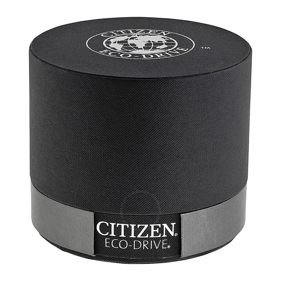 Citizen Eco-Drive Silhouette Ladies Watch EW1540-54A
