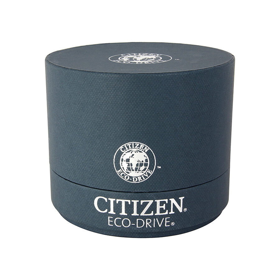 Citizen Perpetual Calendar Eco-Drive Chronograph Black IP Stainless Steel Men's Watch BL5478-55E