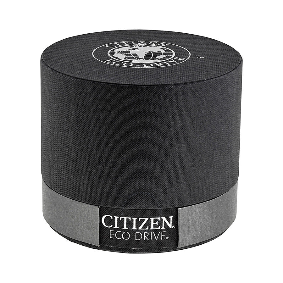 Citizen Perpetual Calendar Eco-Drive Men's Watch BL5400-52A