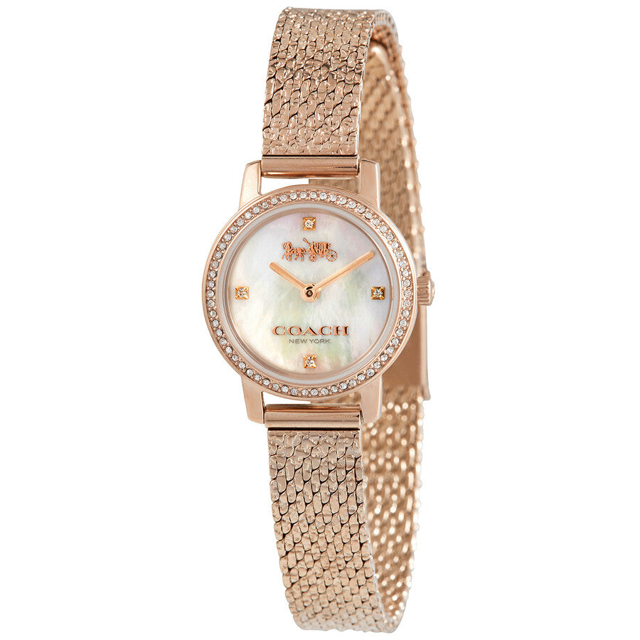 Coach audrey 2025 pave watch