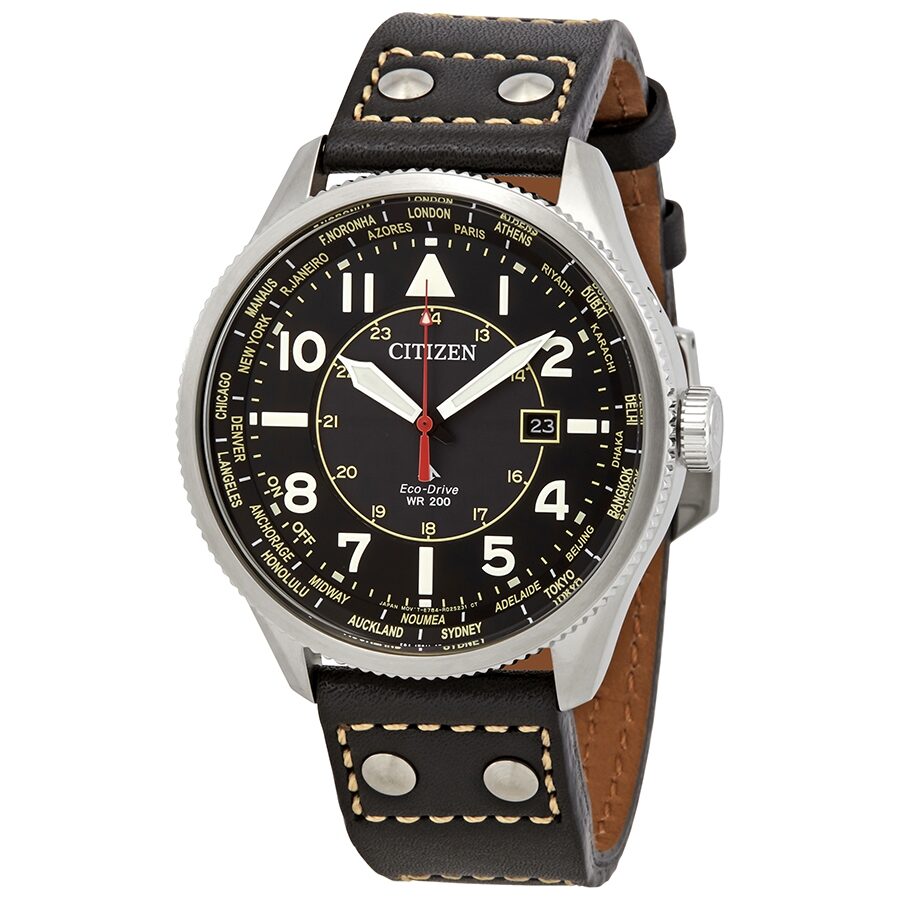 Citizen Promaster Nighthawk Perpetual World Time Men's Watch