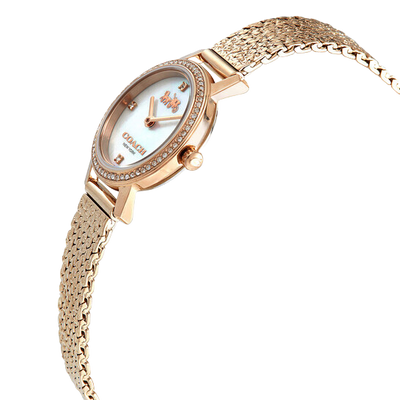 Coach Audrey Quartz Crystal Mother of Pearl Dial Ladies