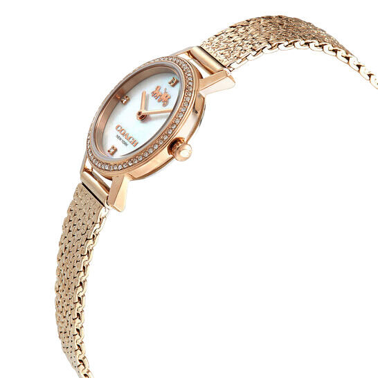 Coach Audrey Quartz Crystal Mother of Pearl Dial Ladies Watch 14503372