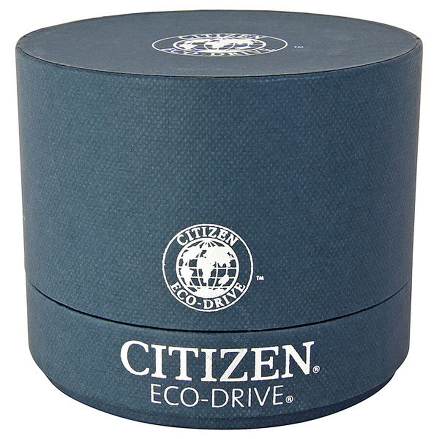 Citizen Eco Drive Calibre 8700 Black Dial Stainless Steel Men's Watch BL8090-51E