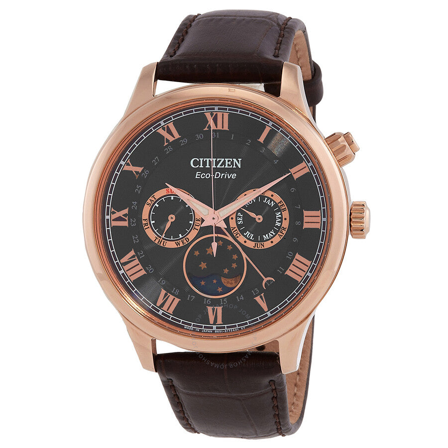 Citizen Moon Phase Eco-Drive Black Dial Men's Watch AP1059-19E - The Watches Men & Co