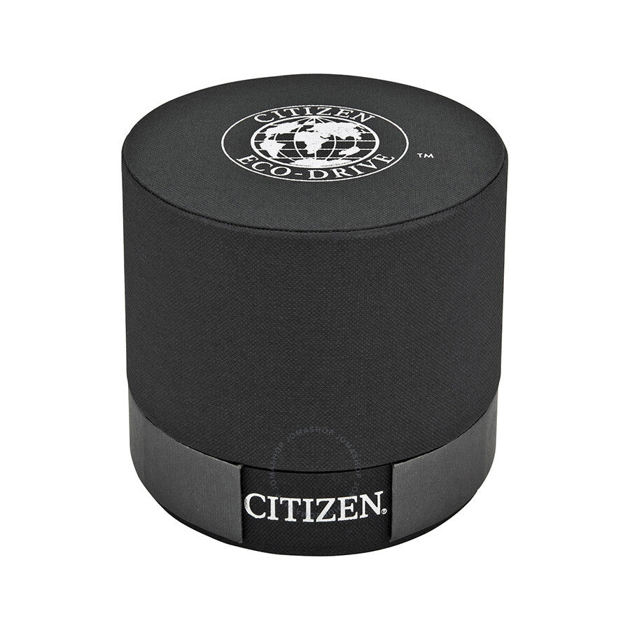 Citizen Perpetual Chrono A-T Eco-Drive Titanium Chronograph Men's Watch AT4010-50E