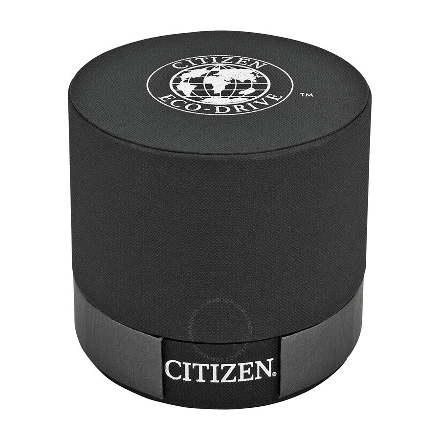 Citizen Professional Diver Eco-Drive Men's Watch BN0000-04H