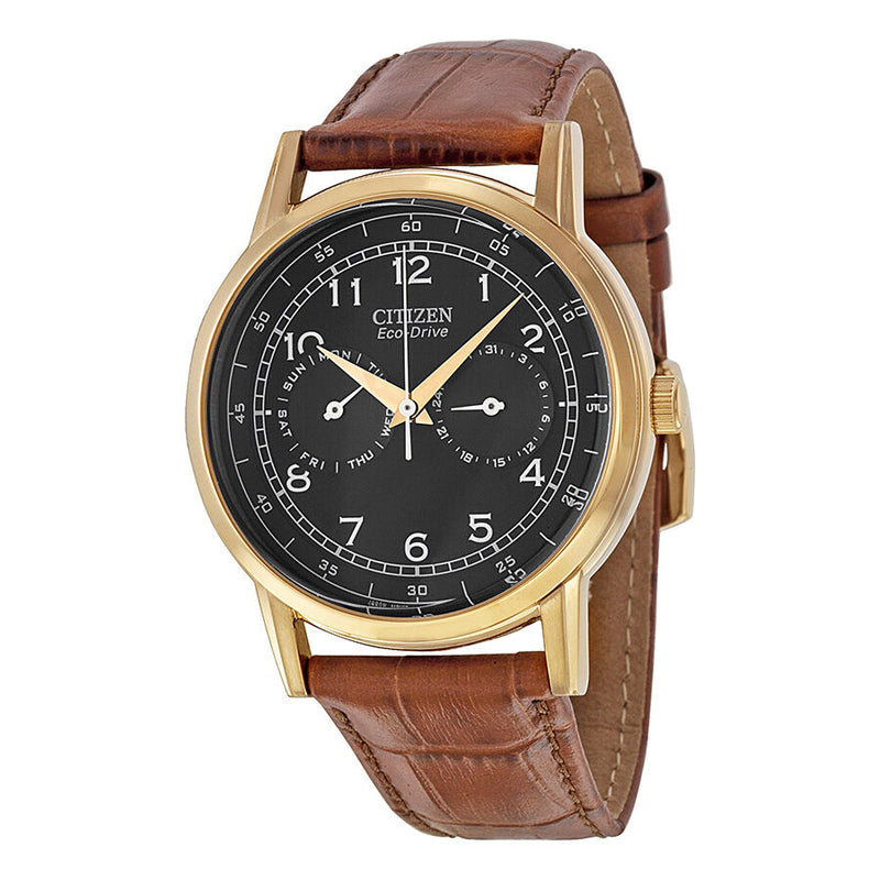 Citizen Eco Drive Black Dial Brown Leather Men's Watch #AO9003-08E - Watches of America