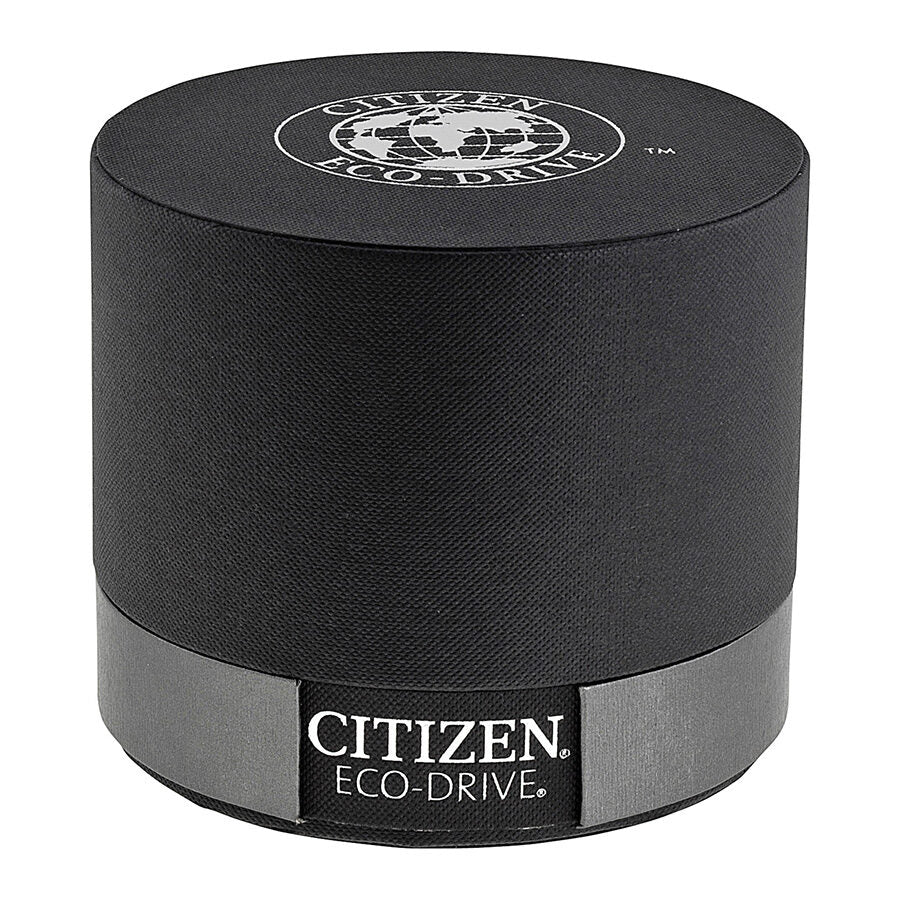 Citizen Perpetual Calendar Eco-Drive Chronograph Men's Watch