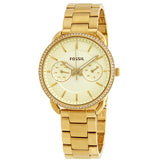 Fossil Tailor Crystal White Dial Ladies Watch ES4263 - Watches of America