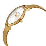 Skagen Anite Silver Dial Gold-tone Mesh Ladies Watch #SKW2150 - Watches of America #2