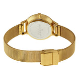 Skagen Anite Silver Dial Gold-tone Mesh Ladies Watch #SKW2150 - Watches of America #3