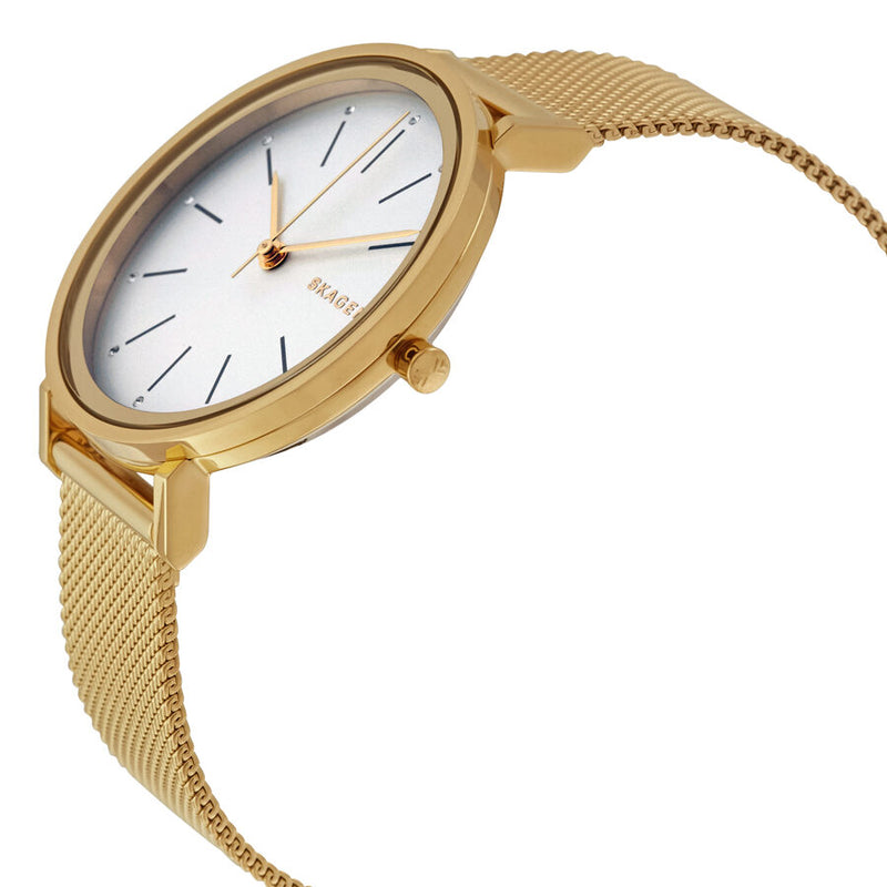 Skagen Hald Silver Dial Yellow Gold PVD Steel Ladies Watch SKW2509 - Watches of America #2