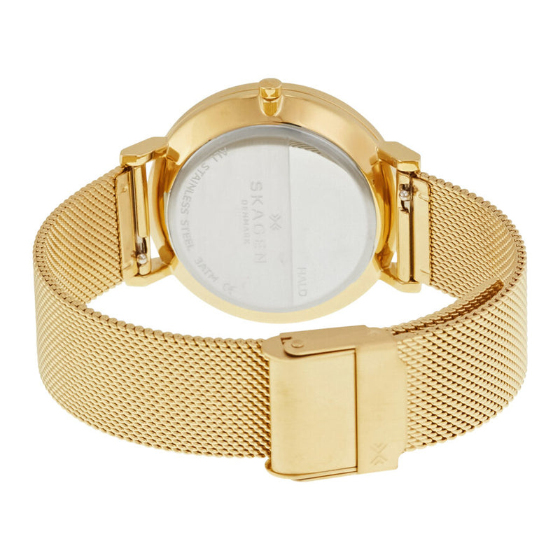 Skagen Hald Silver Dial Yellow Gold PVD Steel Ladies Watch SKW2509 - Watches of America #3