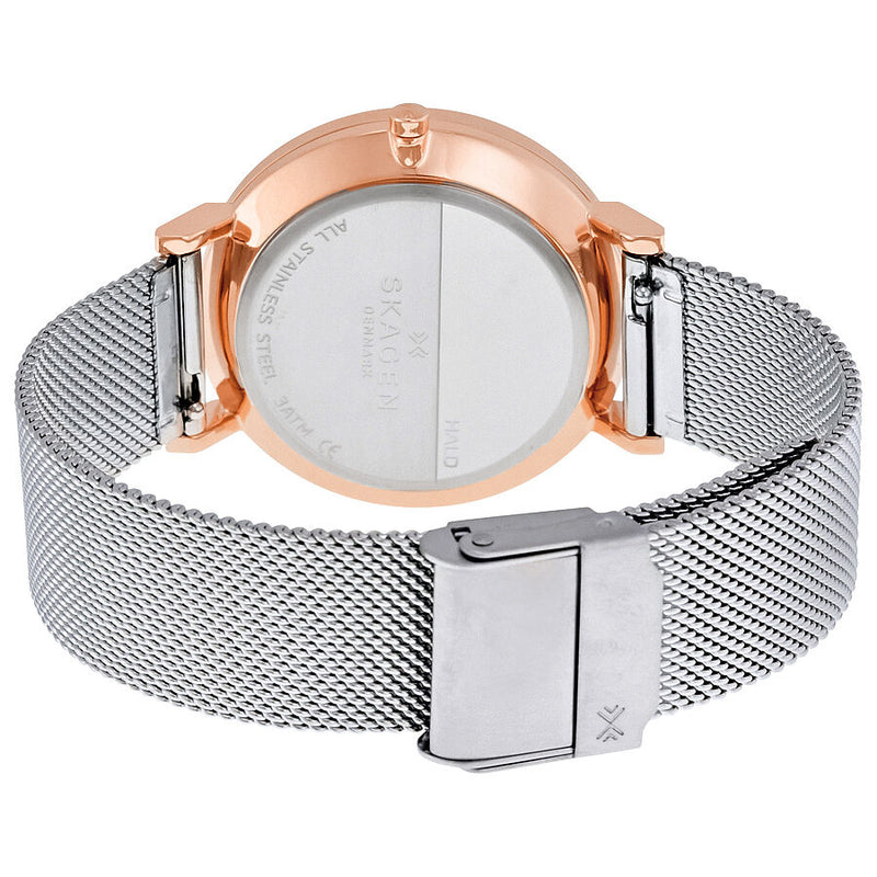 Skagen Hald Silver Two Tone Stainless Steel Ladies Watch SKW2506 - Watches of America #3